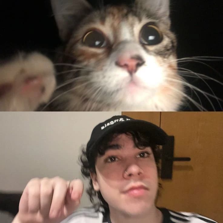 Spreen😺 thumbnail