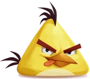 Chuck thumbnail