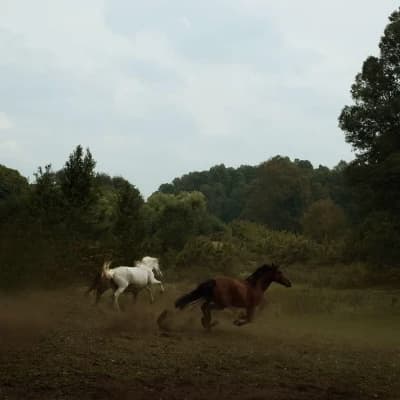 Horse herd rp thumbnail