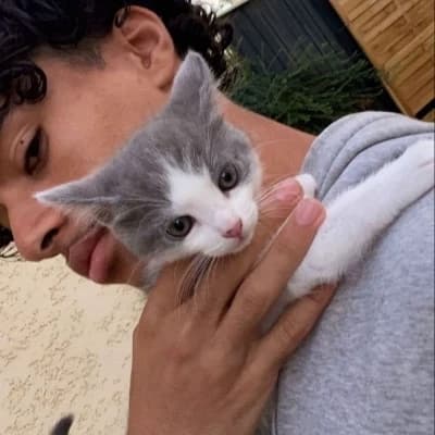 Angel thumbnail