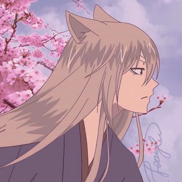 tomoe-domo thumbnail