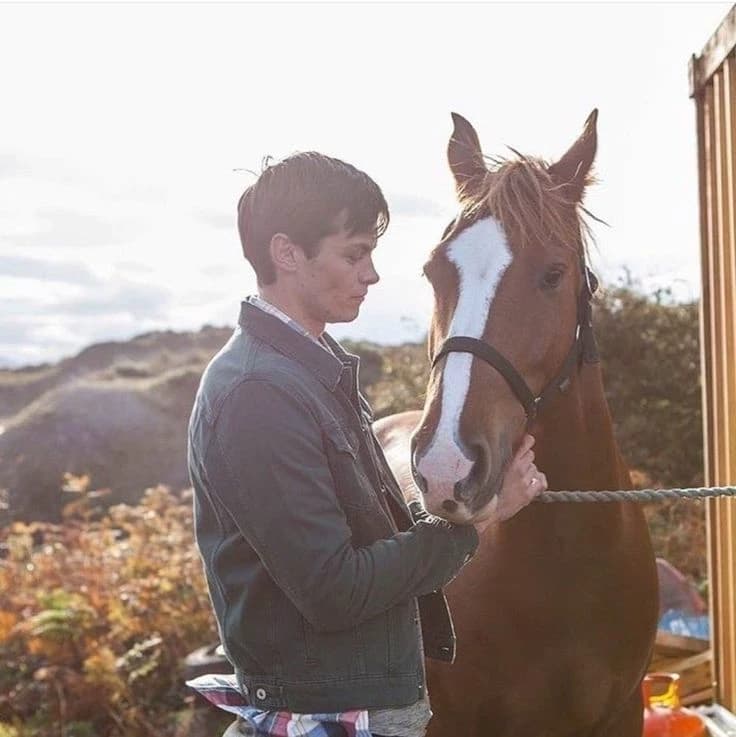 🐎 :: Pin . ( free rein ) thumbnail