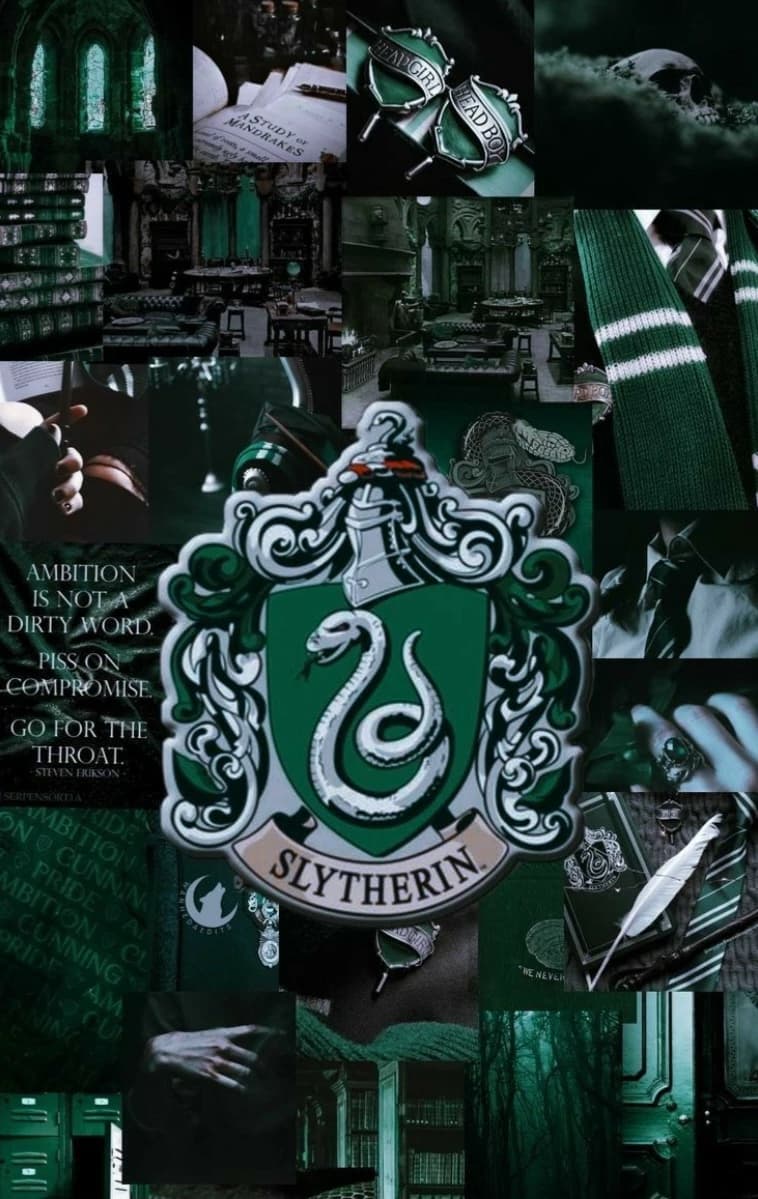 Slytherin ╭BOYS╮ thumbnail