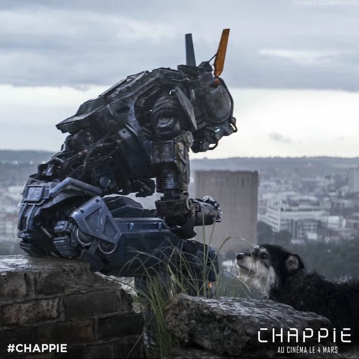 Chappie thumbnail