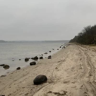 Cursed Island thumbnail