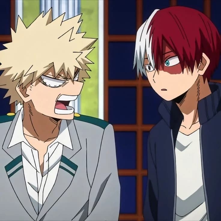 bakugo and todoroki thumbnail