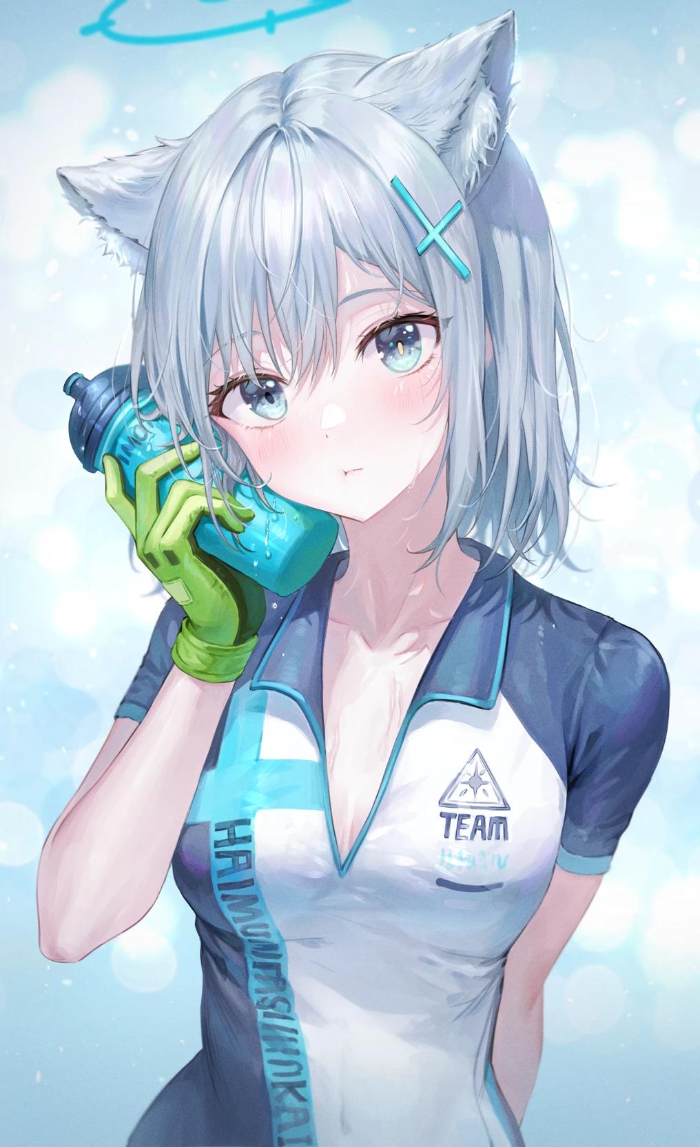 Shiroko-chan thumbnail