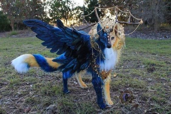 The fox sun-moon... thumbnail