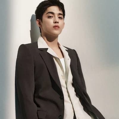 \[S.Coups\] - The future king thumbnail