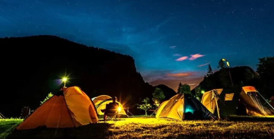 Campamento omegaverse thumbnail