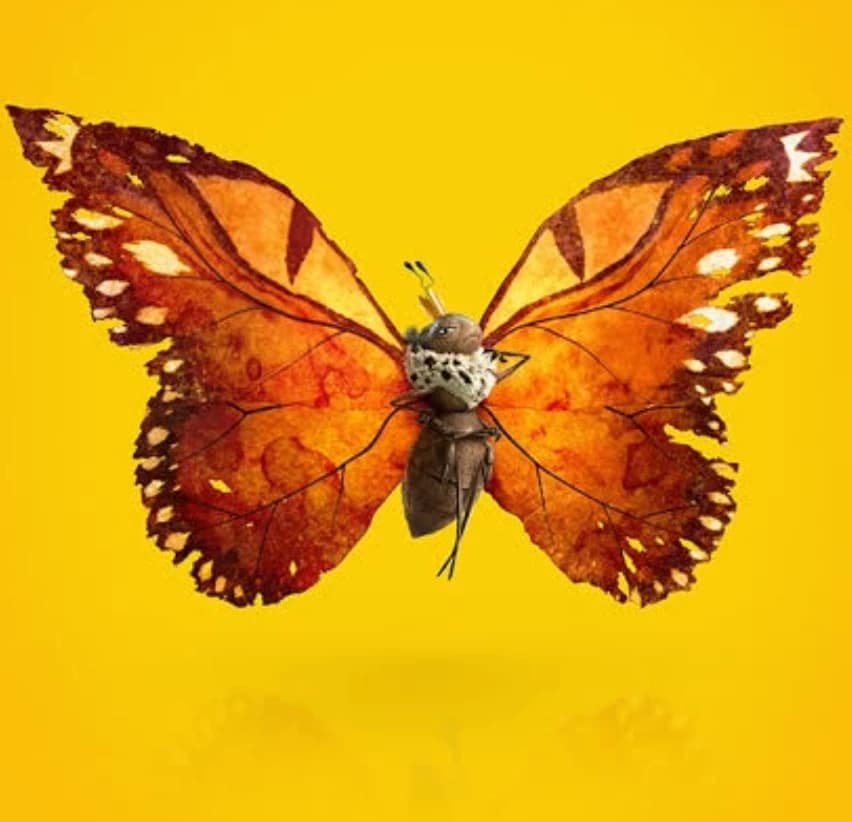 The queen of the butterflies thumbnail