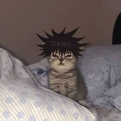 Megumi cat thumbnail