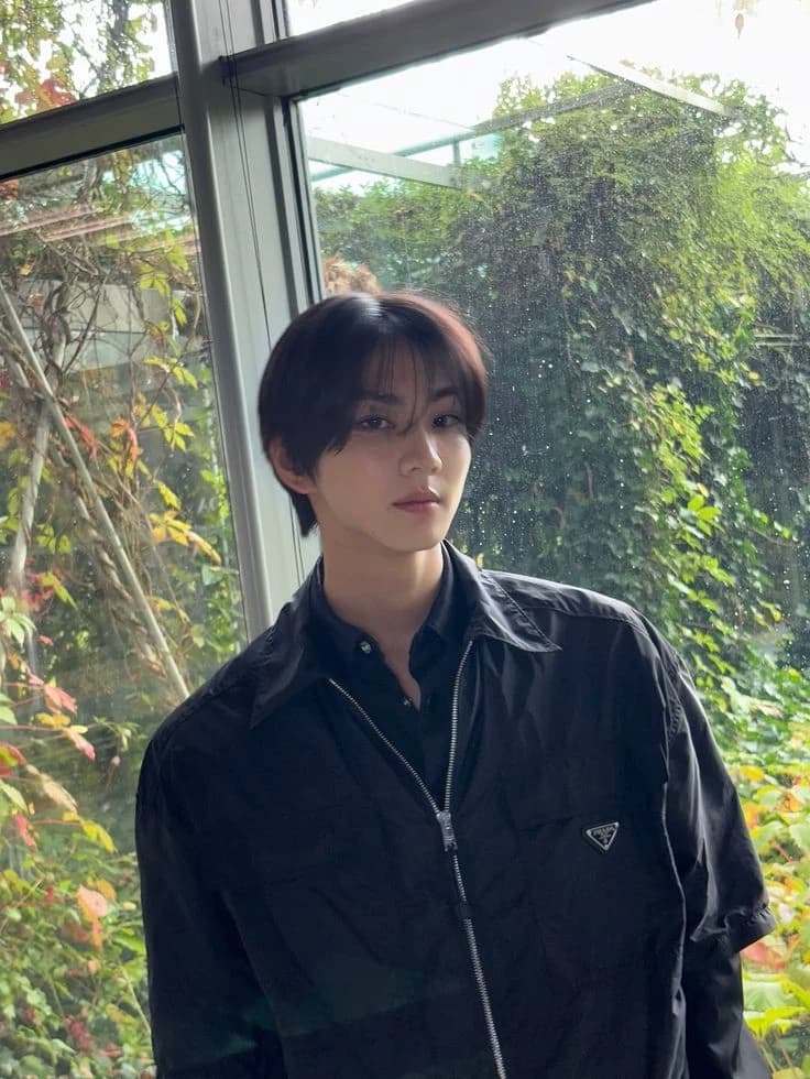 Yang Jungwon || Popular Boy thumbnail