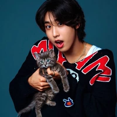Han Jisung thumbnail