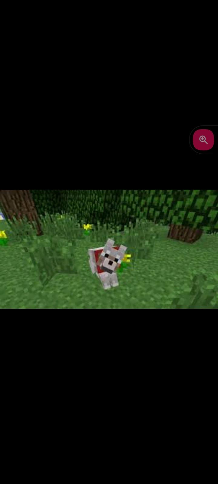Your pet (Minecraft) thumbnail