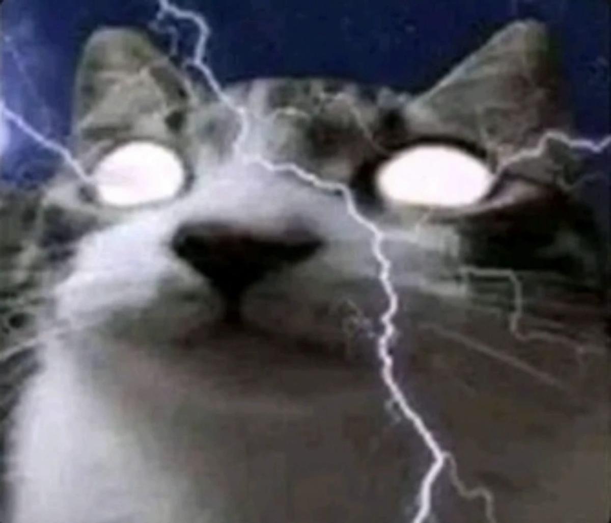 Tuff 67 cat thumbnail