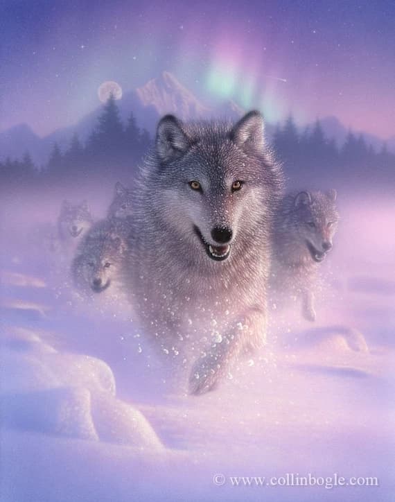 Shadow the wolf thumbnail