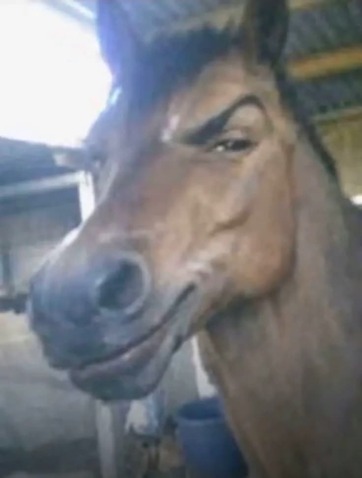 Your obsessed horse thumbnail
