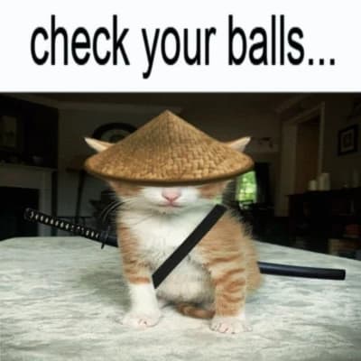 The story of a samurai cat than one egg thumbnail