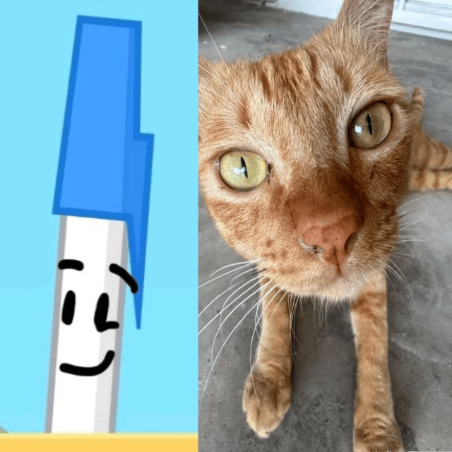 Pen bfb thumbnail