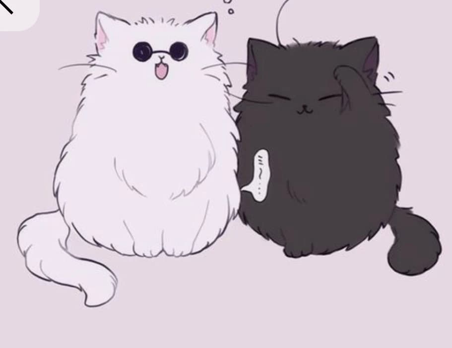 Your cats thumbnail
