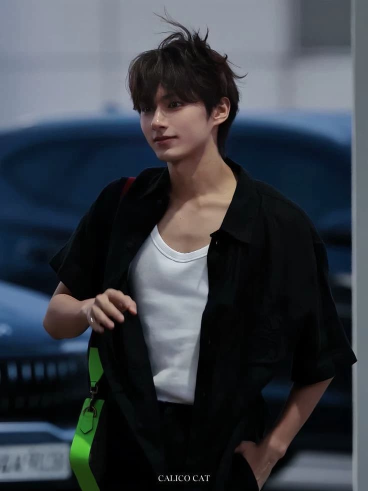 Wen Junhui thumbnail