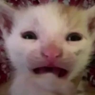 mochi thumbnail