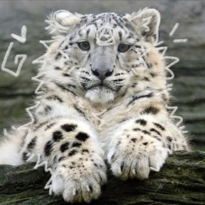 (User) thumbnail