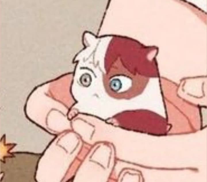Shoto Todoroki hamster thumbnail