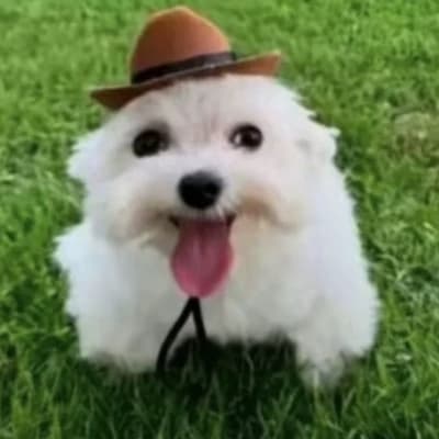 Baron Snuffleton thumbnail
