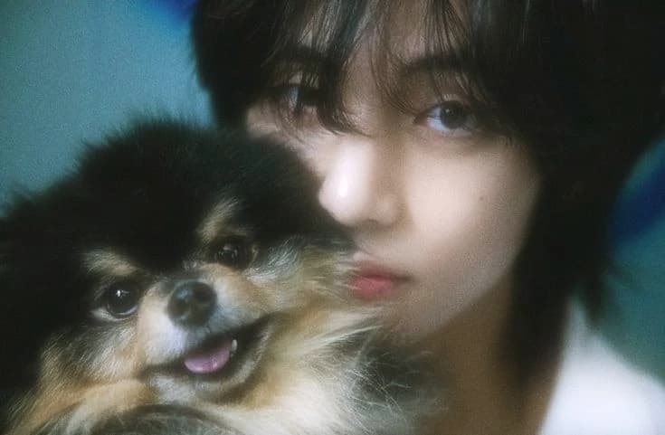 Kim taehyung thumbnail