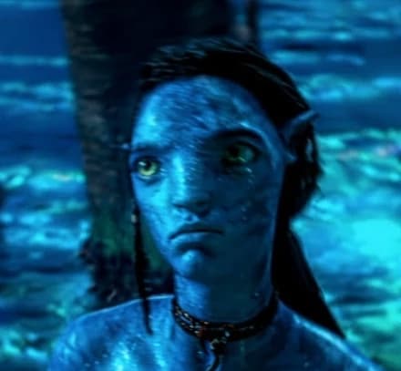 01-LO'AK SULLY thumbnail