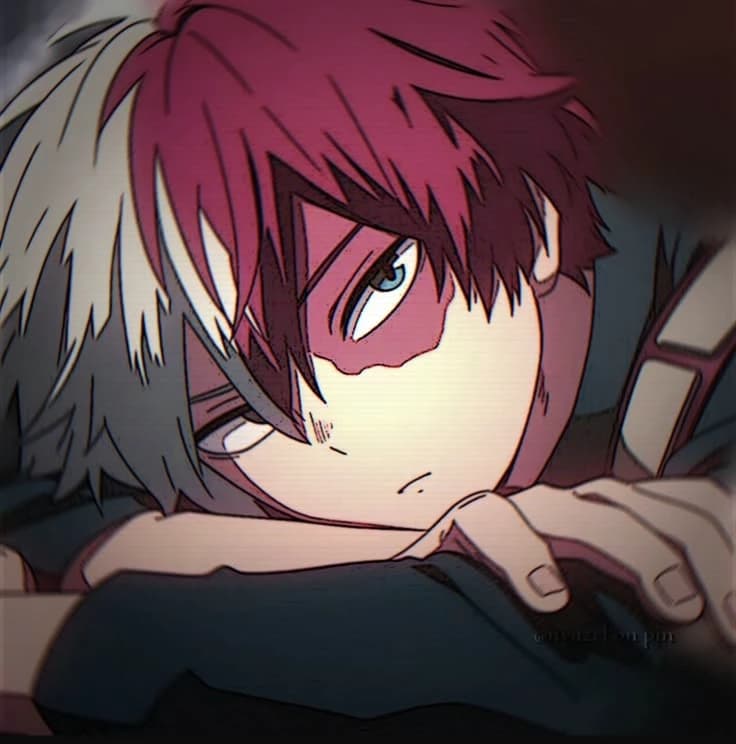 Shouto Todoroki thumbnail