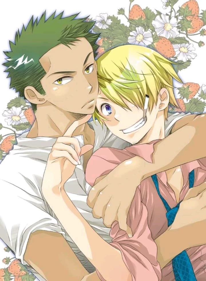 Gay ZoSan or Straight ZoSan - fanfiction thumbnail