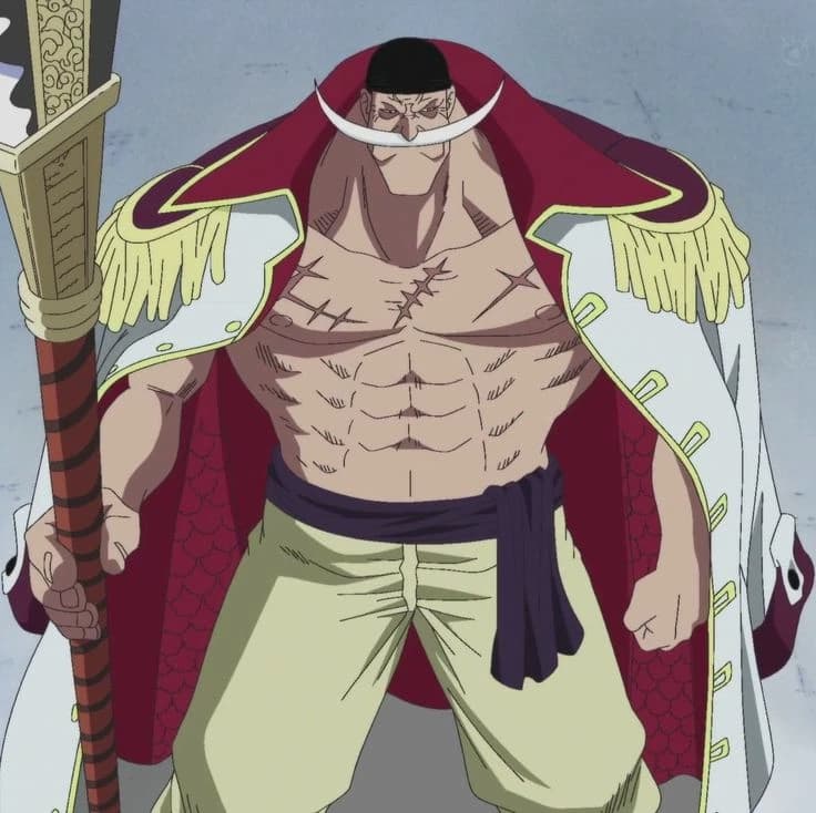 Whitebeard thumbnail