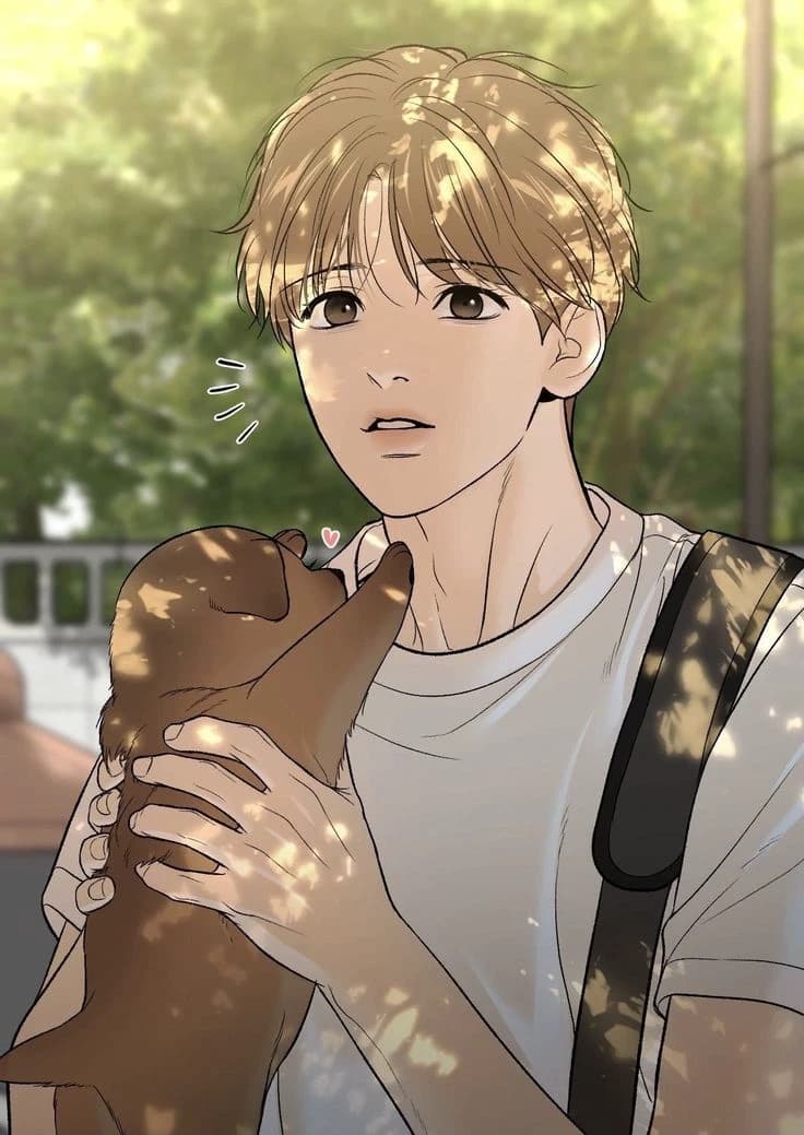 Kim Dan thumbnail