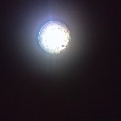 Lumina-7 thumbnail