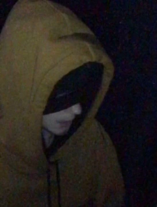 Hoodie (Brian) thumbnail