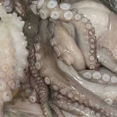 Tentacles thumbnail