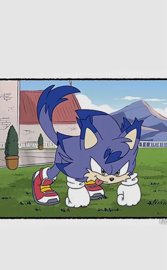 Bud The Cat thumbnail