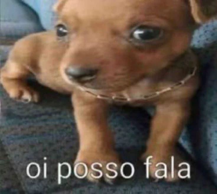 Hi can I tell you — your dog thumbnail