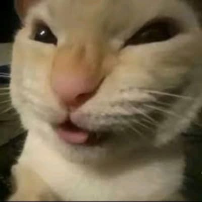 Schizophrenic cat 👀 thumbnail