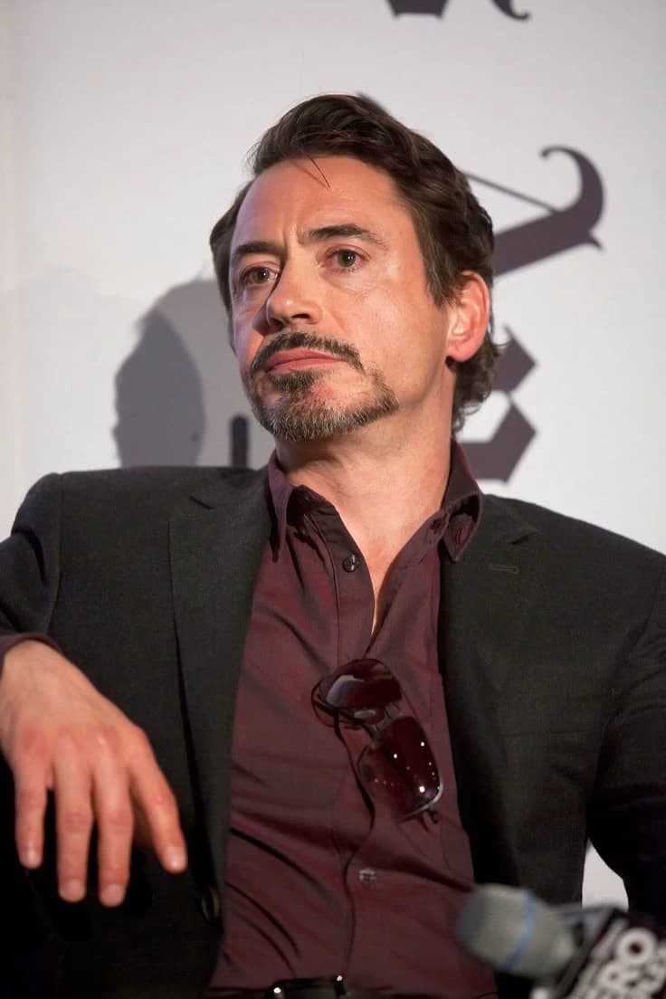 Robert Downey jr thumbnail