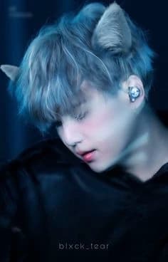 Kitten 😺 thumbnail
