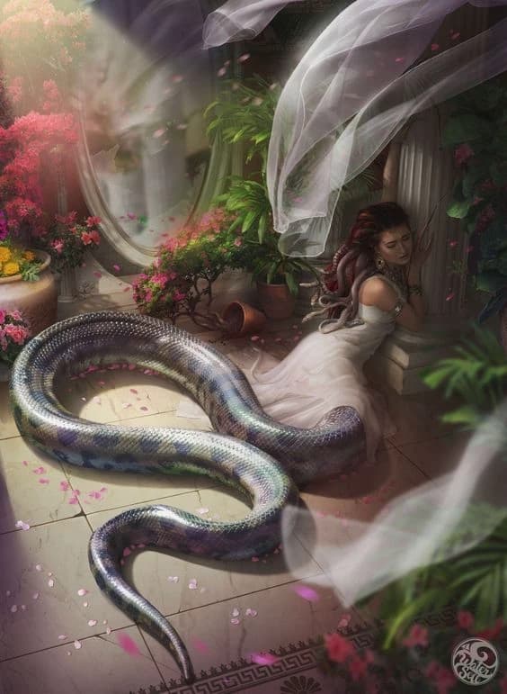 Medusa your cute and devoted pet thumbnail
