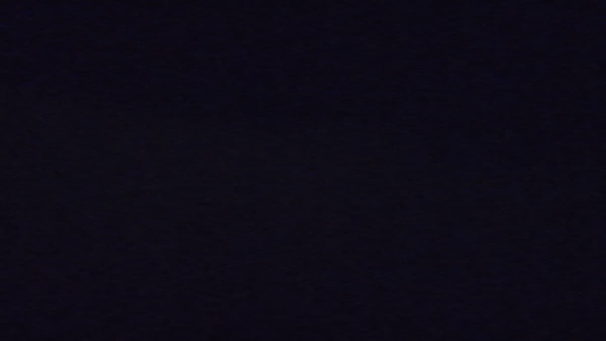 Family  thumbnail