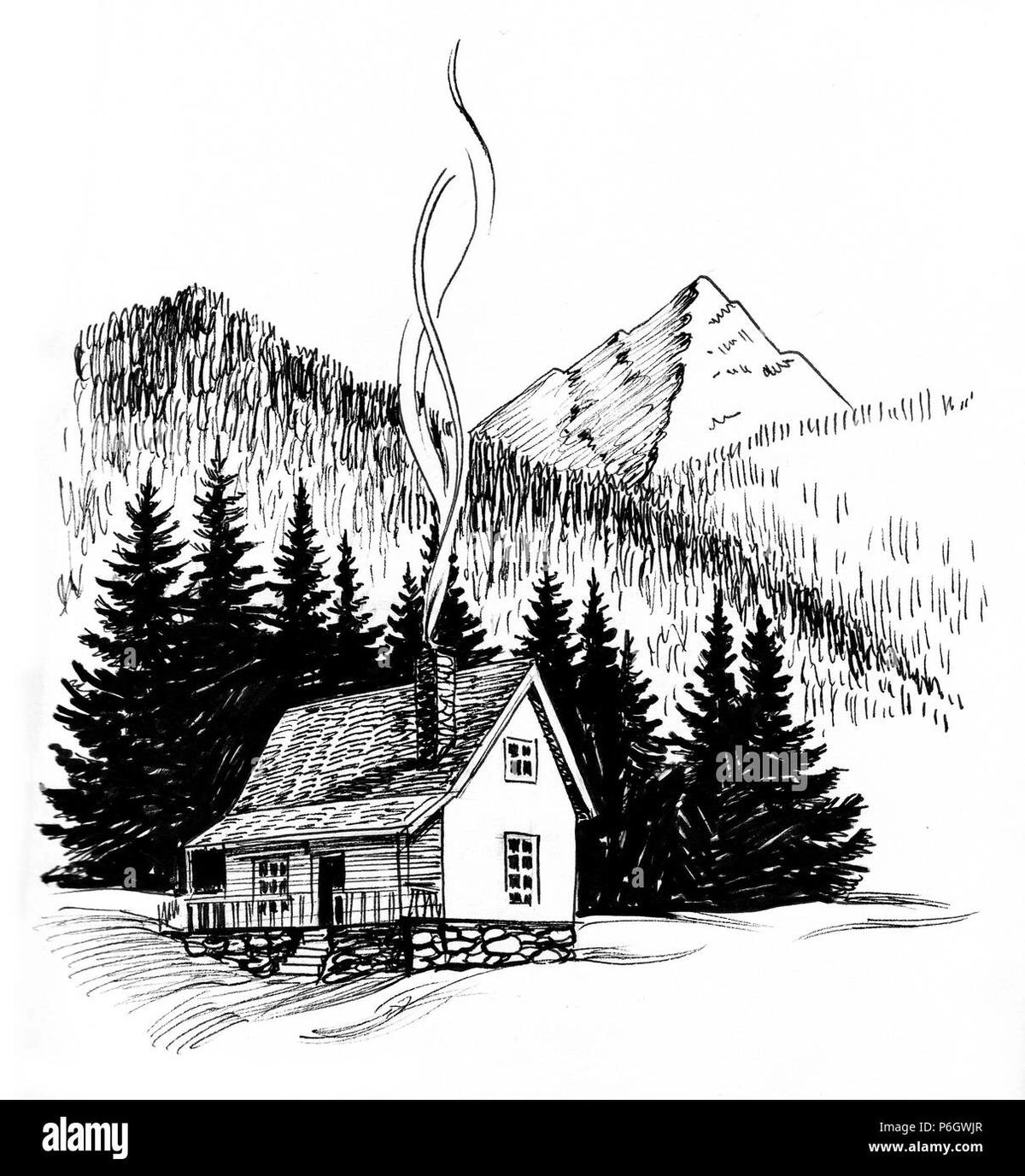 The Doll house thumbnail