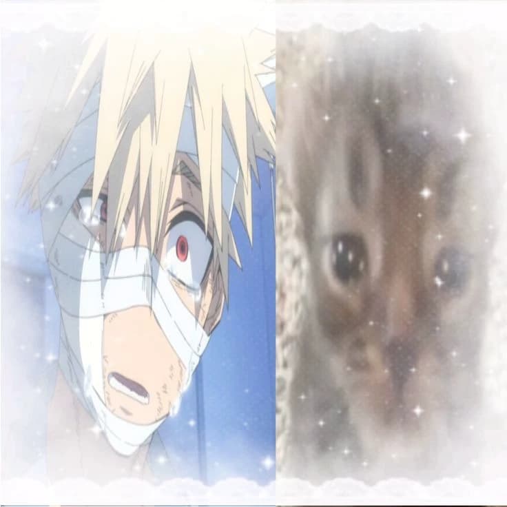 Bakugo Katsuki ★ | BL thumbnail