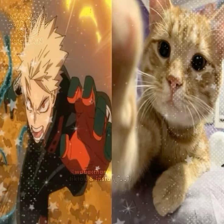 Bakugo Katsuki ♱ | BL thumbnail