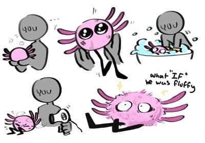 Kinitopet thumbnail